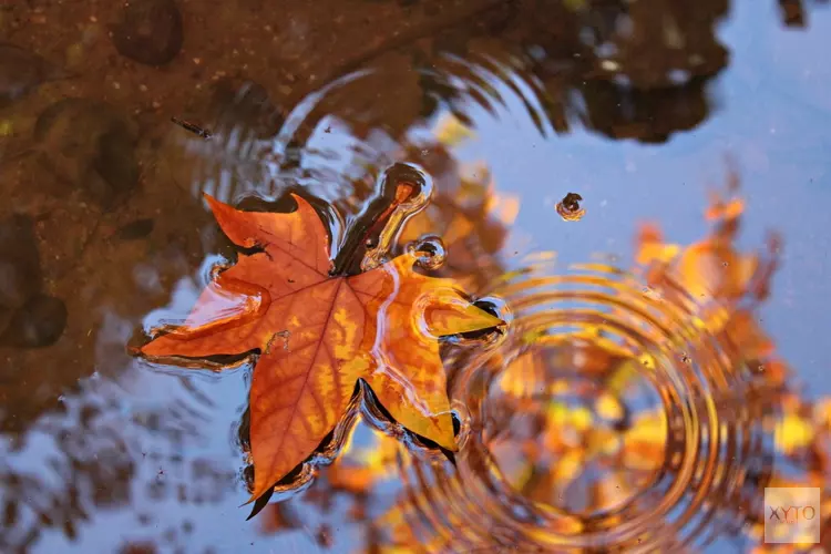 Wintertijd en november zorgen voor omslag. Echt herfstweer op komst met buien en wind